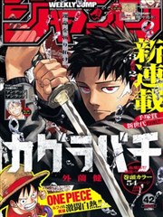 月光影院在线观看免费直播漫画卷标本，分格比例的标本夹示意图